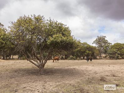 Lot 36 Allenby Road, Kendenup WA 6323