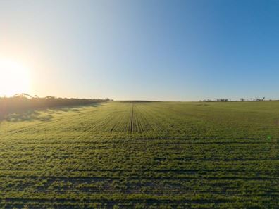 1074 Neve Road, Pingrup WA 6343