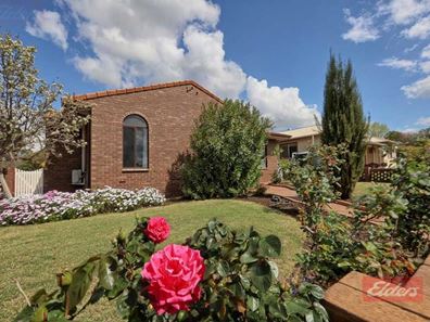 67 Clayton Road, Narrogin WA 6312