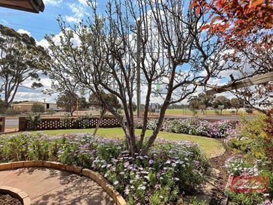 67 Clayton Road, Narrogin WA 6312