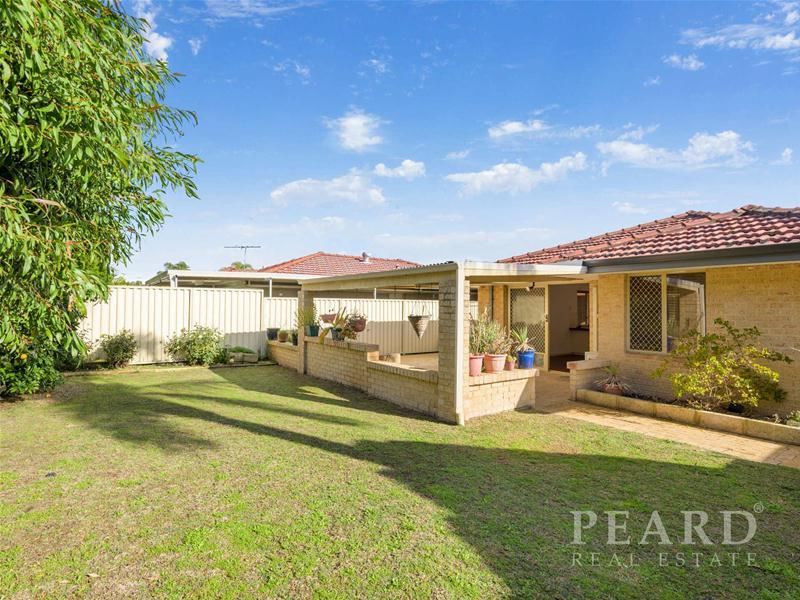 17A Flanders Place, Alexander Heights