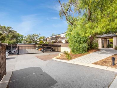 7/288 Ravenscar Street, Doubleview WA 6018