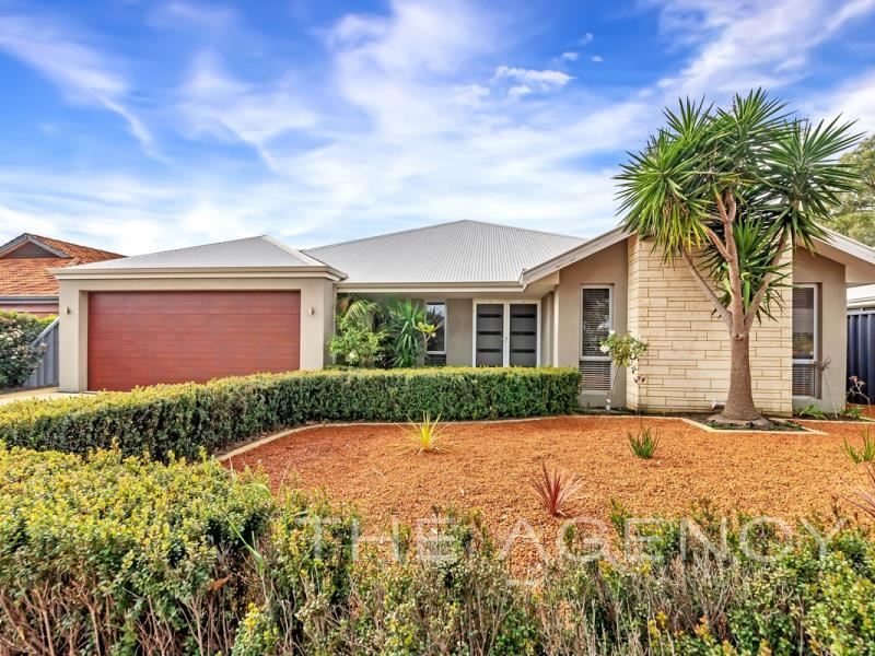 6 Callistemon Gardens, Baldivis WA 6171