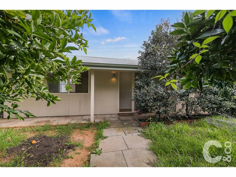 3 Langridge Crescent, Orelia