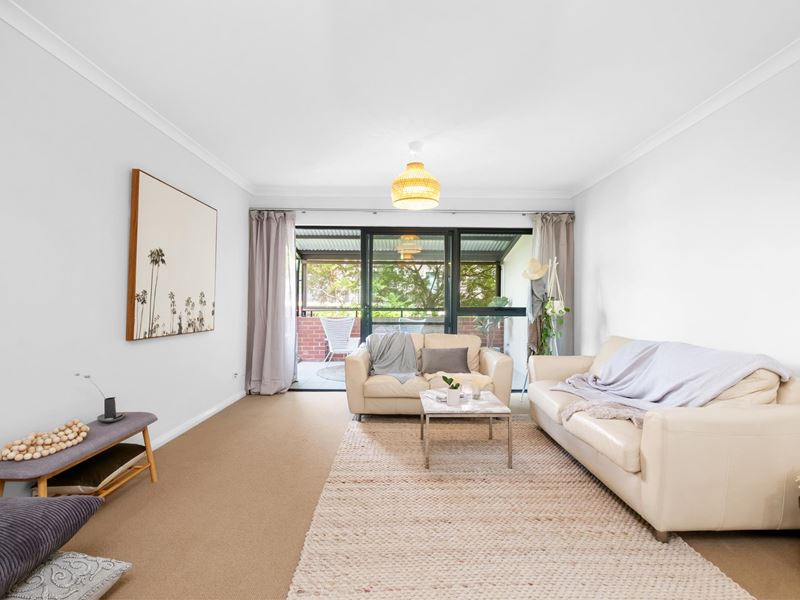 49/2 Wexford Street, Subiaco