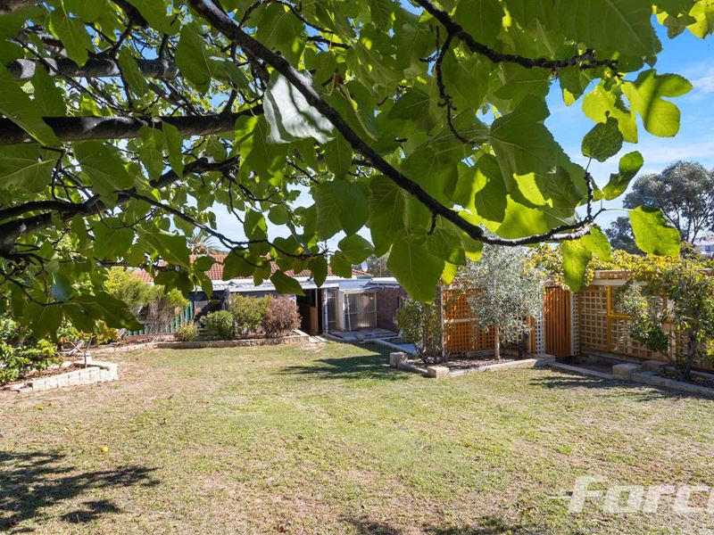 36 Felton Street, Balcatta