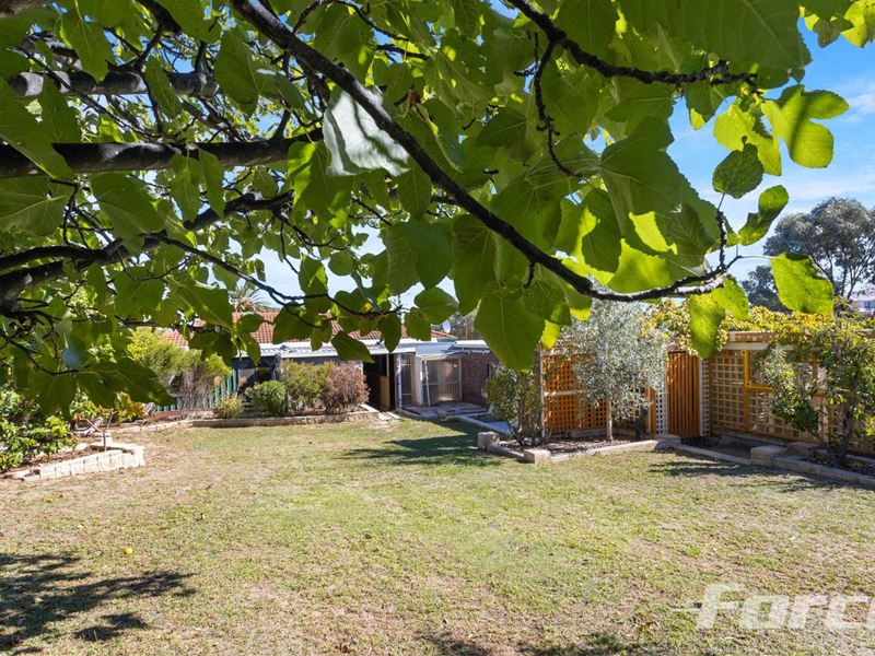 36 Felton Street, Balcatta WA 6021