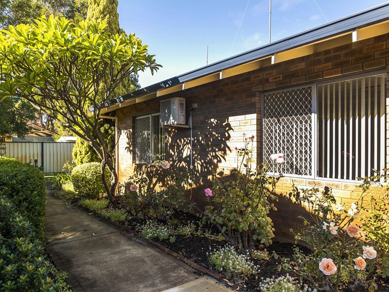 51/10 Houtmans Street, Shelley