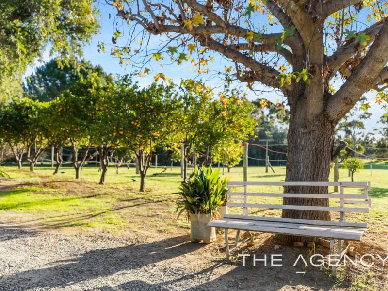 54 Kelvin Road, Wattle Grove