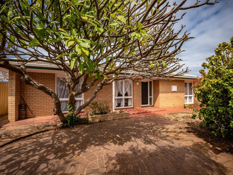 66 Phelps Street, Wonthella