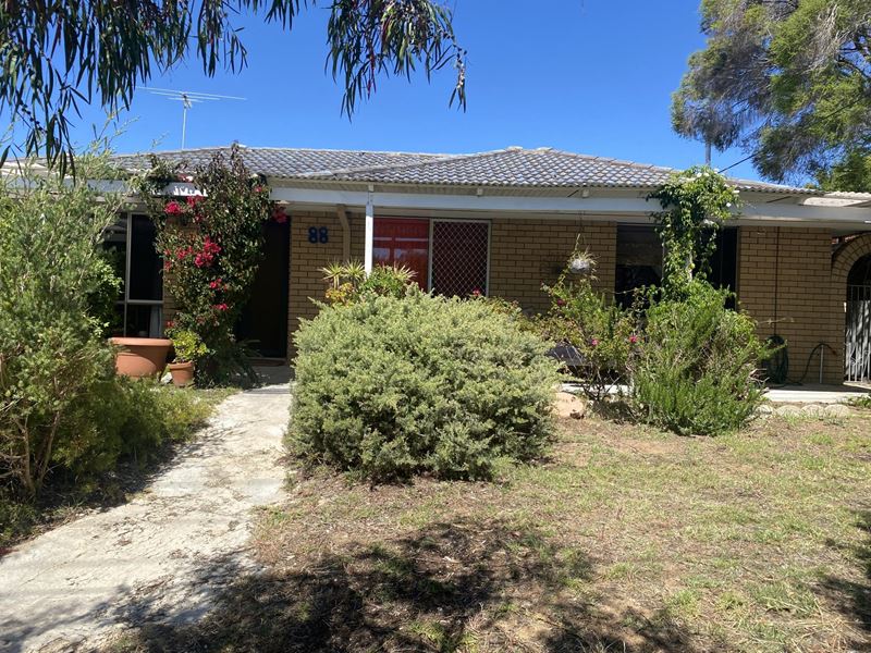 88 Davilak Avenue, Hamilton Hill