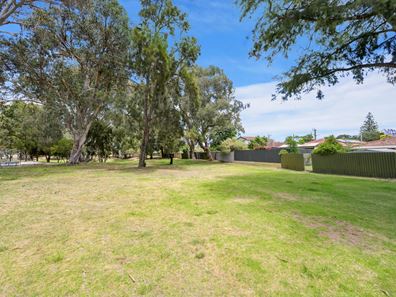 46 Bertram Street, Dianella WA 6059