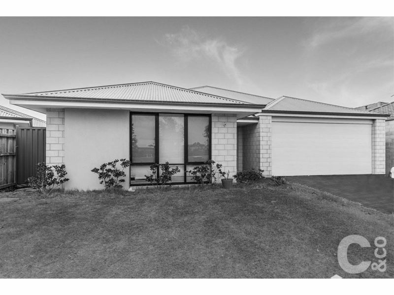 19 Catseye Crescent, Wellard