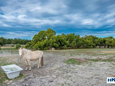 29 Shorthorn Pass, Lower Chittering WA 6084