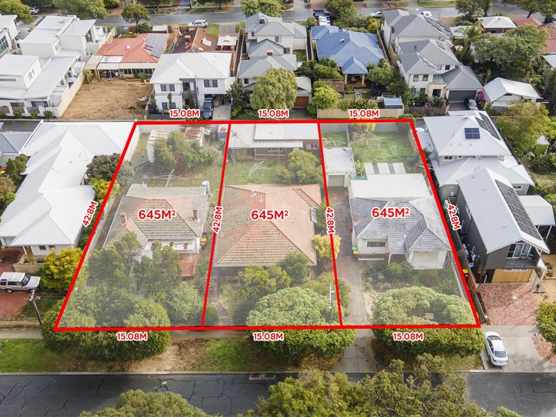 209 Hancock Street, Doubleview WA 6018