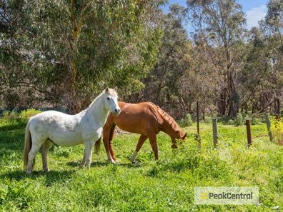 294B Wattleup Road, Wattleup WA 6166