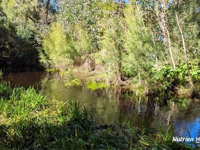 5 Fraser Street, Gingin WA 6503