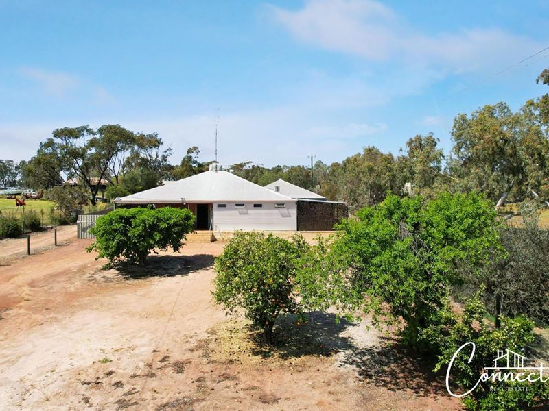 64 Withers Street, Northam WA 6401