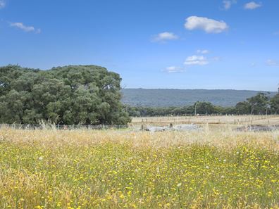 9 Rafferty Entrance, Kudardup WA 6290