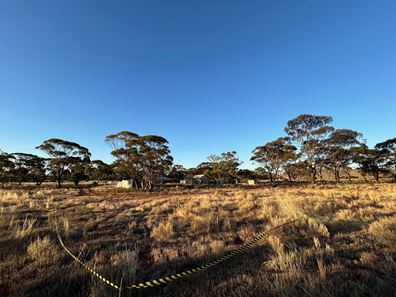 42 West Street, Bullfinch WA 6484