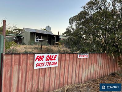 42 West Street, Bullfinch WA 6484