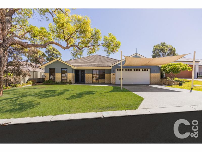 6 Nursling Chase, Wellard WA 6170