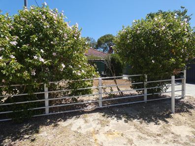 Lot 82, 38 Stuart Street, Koongamia WA 6056