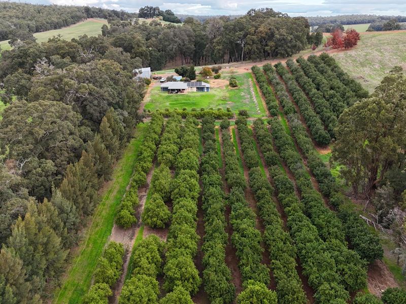 320 Mitchell Road, Newlands