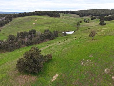 320 Mitchell Road, Newlands WA 6251