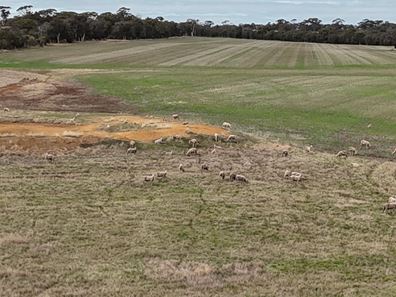 Lot 7138,  Robinson Road, Woodanilling WA 6316