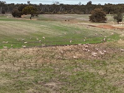 Lot 7138,  Robinson Road, Woodanilling WA 6316