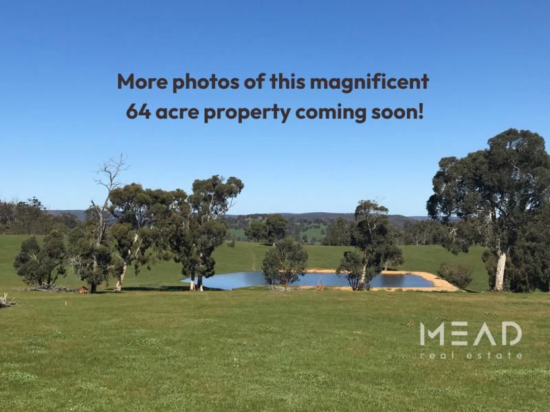 2938 Chittering Road, Chittering WA 6084