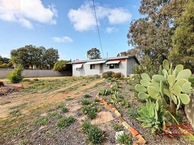 19 Shire Street, Pingelly WA 6308