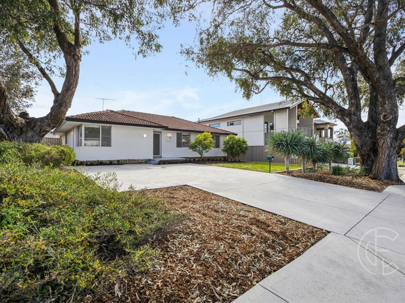 19 Virgil Avenue, Yokine WA 6060