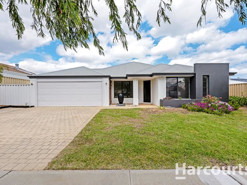 7 Paisley Link, Butler WA 6036