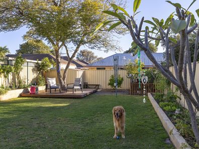 Rivervale WA 6103