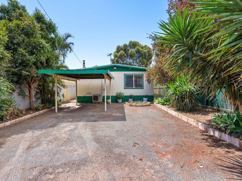 31 Dwyer Street, South Boulder WA 6432