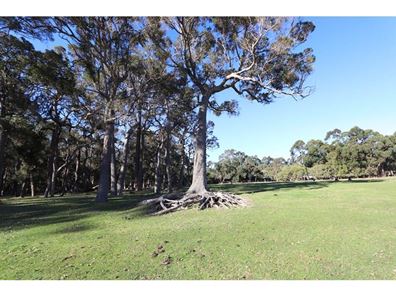 Lot 20,  East River Road, Denmark WA 6333