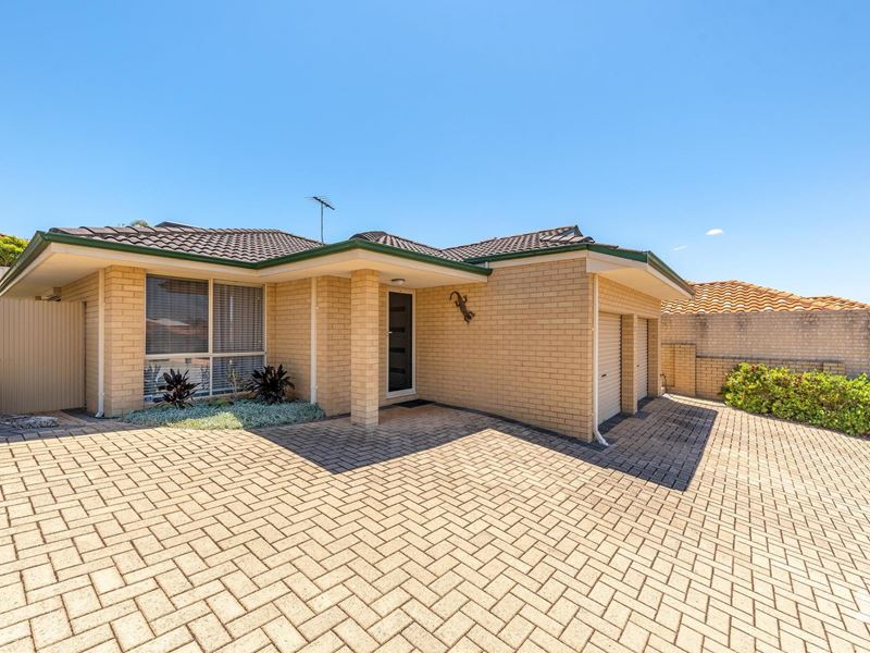 20A Carrello Circuit, Coogee