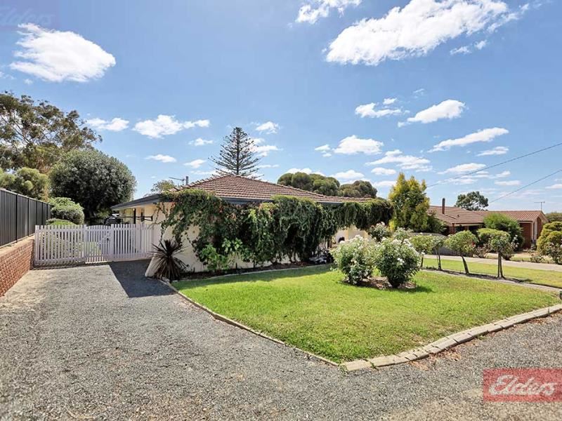 49 SYDNEY HALL WAY, Narrogin