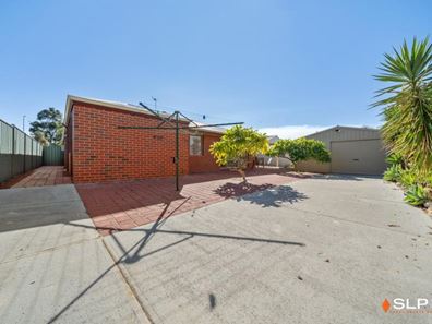 55 Celadon Loop, Banksia Grove WA 6031