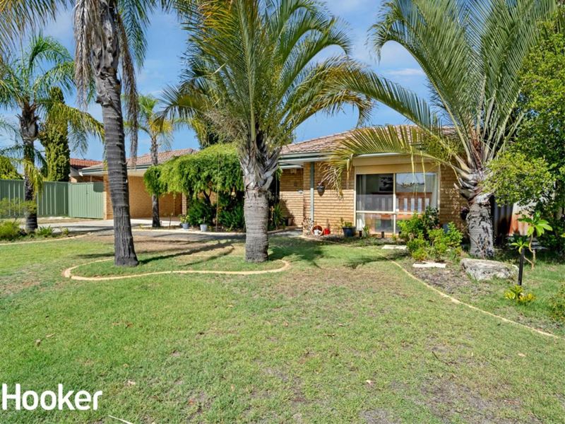 12 Gannet Trail, Ballajura