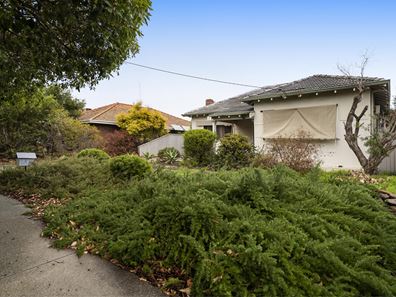 207 Hancock Street, Doubleview WA 6018