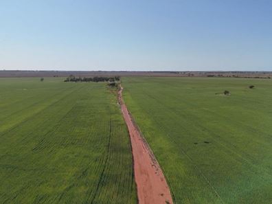 12056 Mullewa-Wubin Road, Perenjori WA 6620