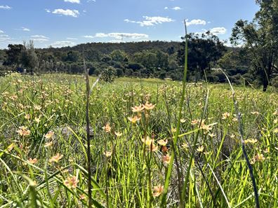 26 Eucalypt Bend, Wundowie WA 6560