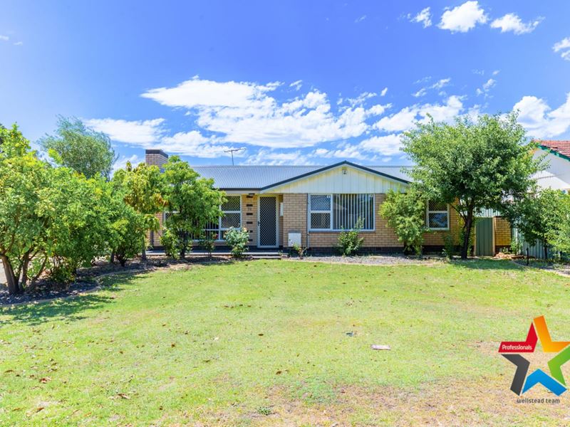 22 Araluen Street, Morley