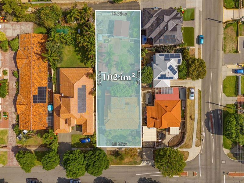 193 Edinboro Street, Joondanna WA 6060