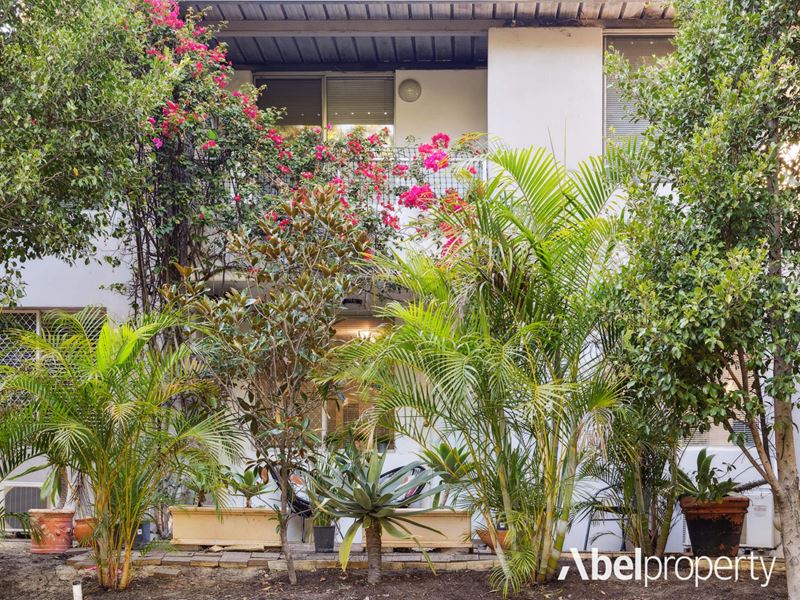 3/58 Cunningham  Terrace, Daglish