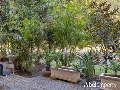 3/58 Cunningham  Terrace, Daglish WA 6008