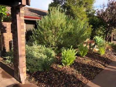 2/77 Elsegood Street, Dianella WA 6059